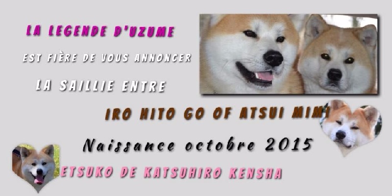 Etsuko X iro hito go portée 2015